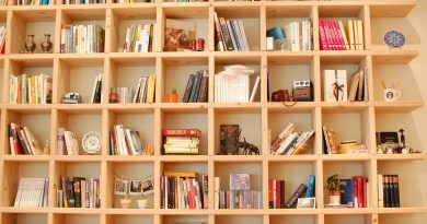 Como organizar seu livros - estante