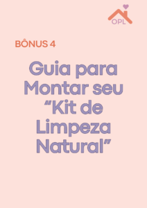 100 receitas caseiras para limpeza e organização do seu lar